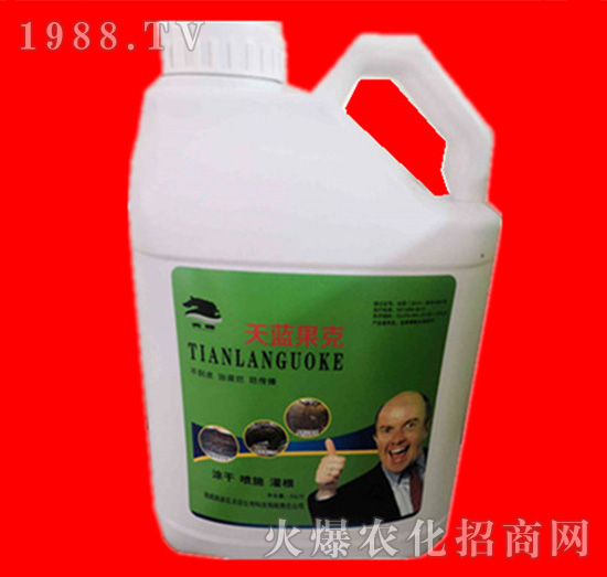 ���{����-���R�ʘI(y��)