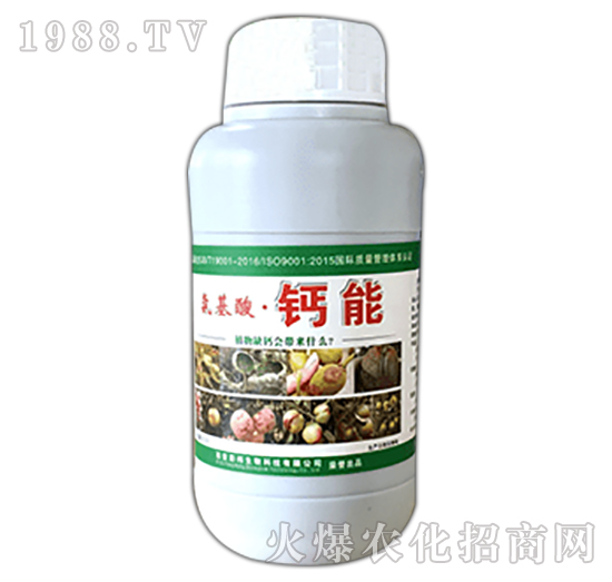 �����ᡤ�}��-��������