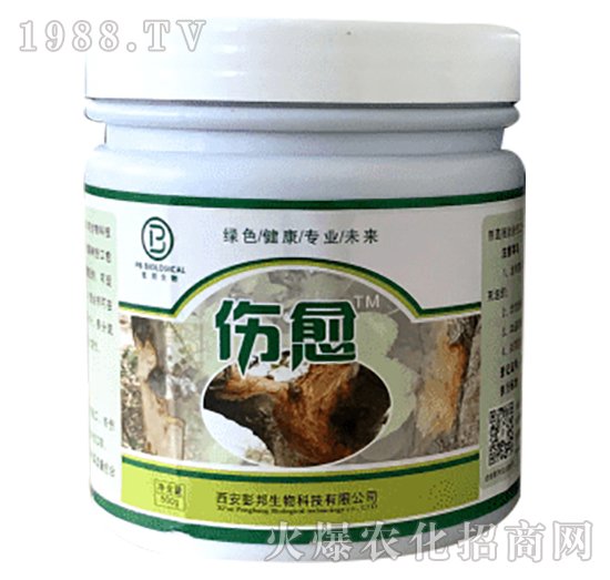 �������ͿĨ���τ�-����-��������