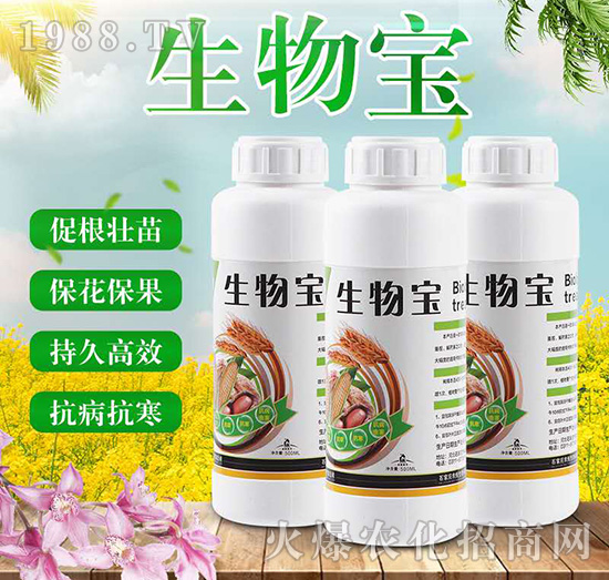 ���-�r������