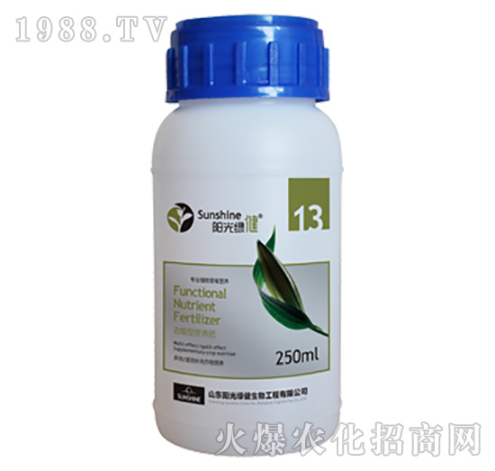 �����͠I(y��ng)�B(y��ng)��-����-13-ꖹ�G��