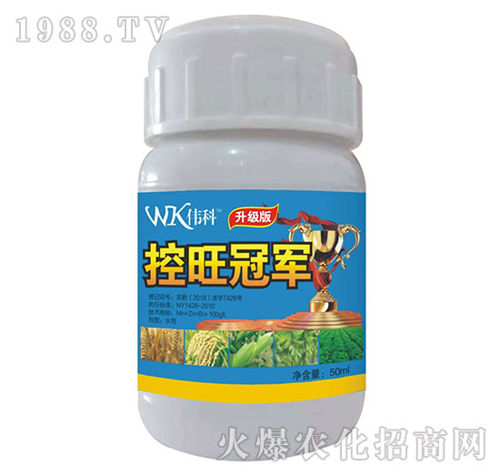 ����-���ƷʘI(y��)