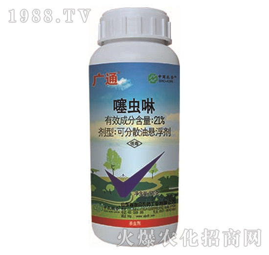 21%���x(ch��ng)��-�Vͨ-���r(n��ng)(li��n)��