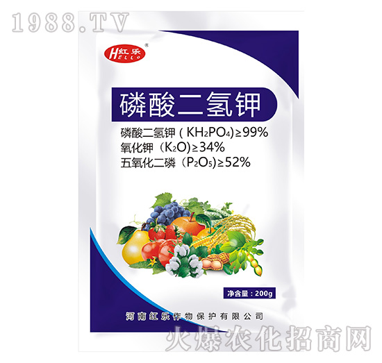 ��������-�t��(l��)