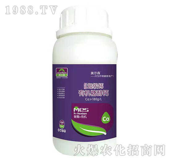 �ЙC�Ǵ��}-����ɭ