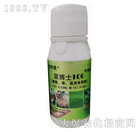 �˲�ʿ100���߲ˡ��������܌��ã�-���Ƀ�(y��u)-��Ɔ���