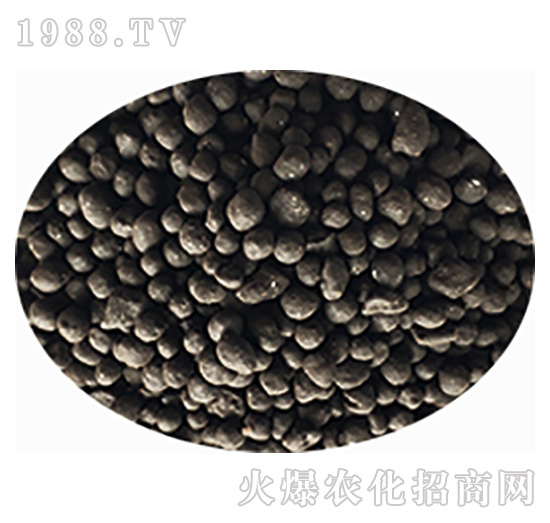 �˜��w��-���r(n��ng)��