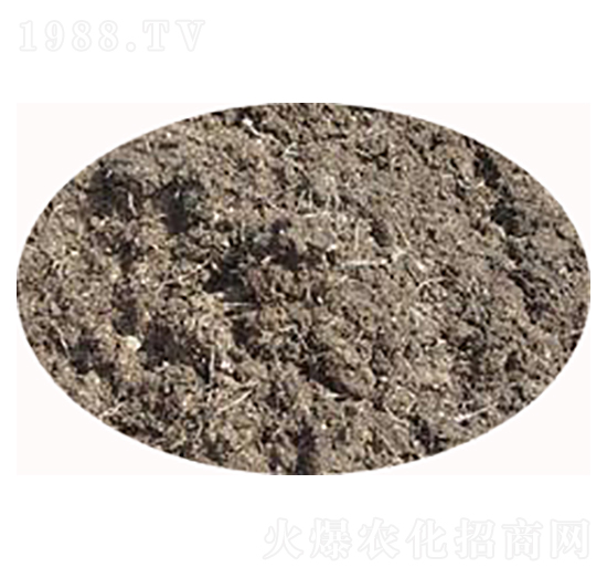 ɽ�|���u�S-���S����