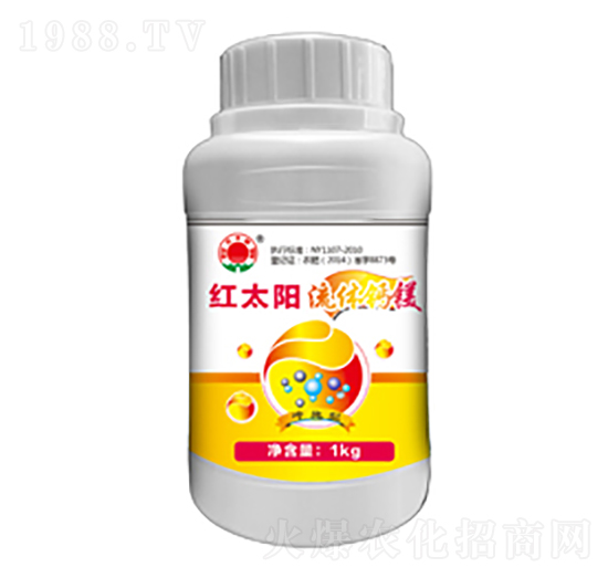 ���w�}�V-�t̫�-�ư�