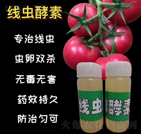 線蟲(chóng)酵素-農(nóng)林風(fēng)-金維典