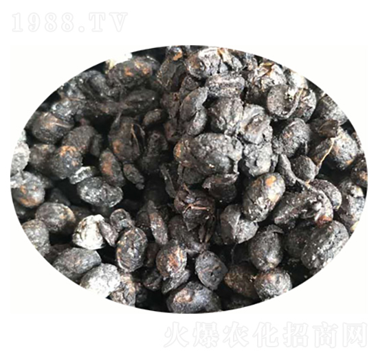 �l(f��)�ʹ������-ݷ�W����