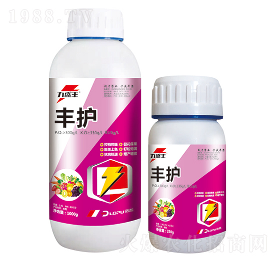 �S�o(h��)-����