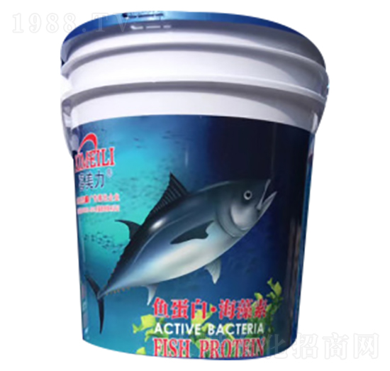 �~(y��)���ס�������-�G�����ʘI(y��)