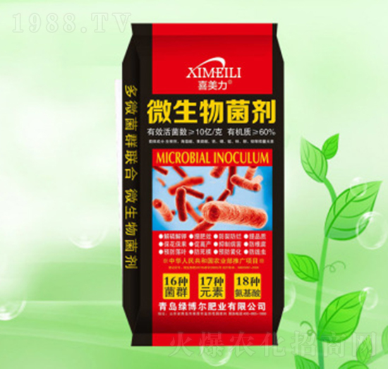 ΢�������-�G�����ʘI(y��)