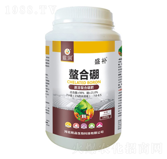 �����������-ʢ�a(b��)-�Ʒ����