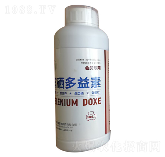 ����������-�R�̝���