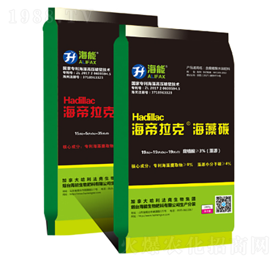 �������˺���̼-����