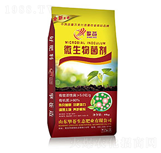 40kg�������-���n���B(t��i)