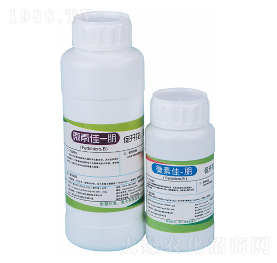 微素佳朋-費(fèi)爾諾