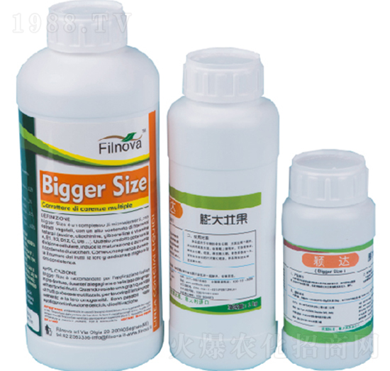 植物提取物壯果型-穎達(dá)-費爾諾