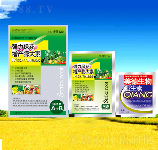 �������a(ch��n)�����-��������