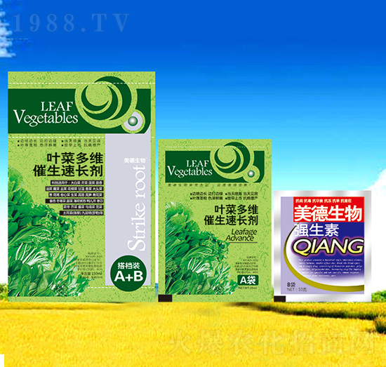 �~�˶�S�������L(zh��ng)��-��������