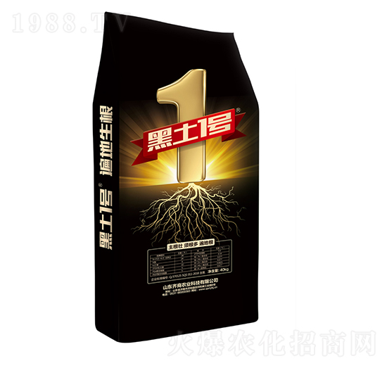 �������-����1̖(h��o)-�R��