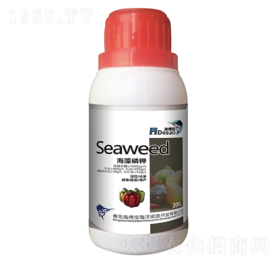 �������-���Ì�