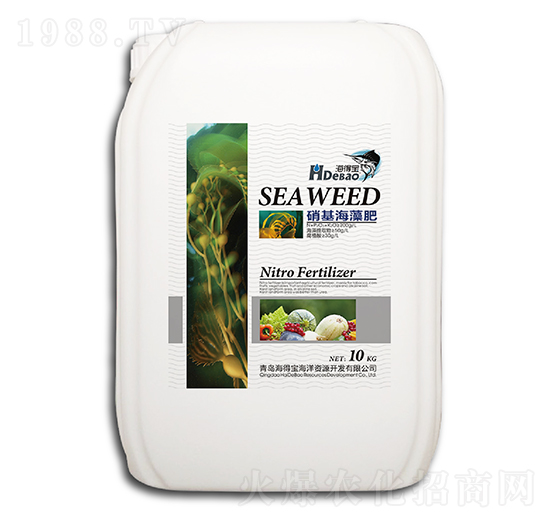 ���������-���Ì�