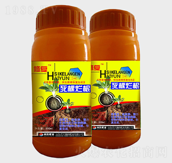 ���������~���-�ޏ�-��퍷ʘI(y��)