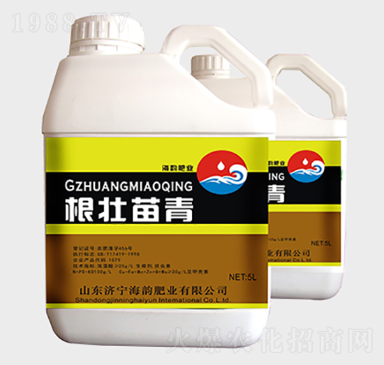 根壯苗青沖施肥-海韻肥業(yè)