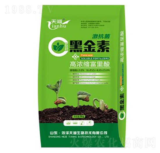 �ڽ���-���