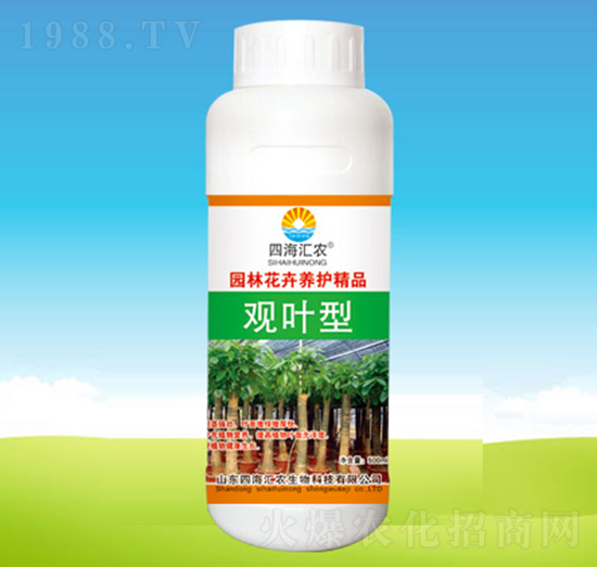 觀葉型-四海匯農(nóng)