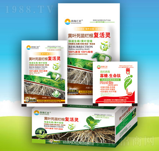 黃葉死苗爛根復(fù)活靈-四海匯農(nóng)