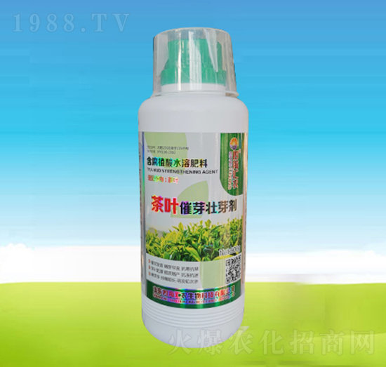 500g���~��ѿ��ѿ��-�ĺ��R�r