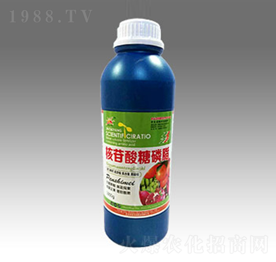 ����������֬-��̫�(y��ng)�ʘI(y��)