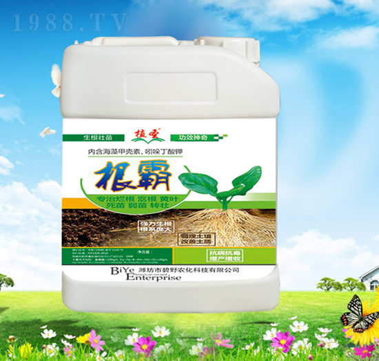 ����-ֲʥ-��Ұ�r(n��ng)��