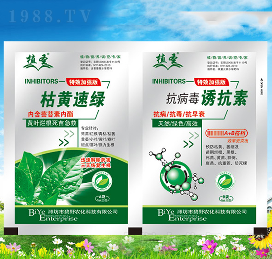 ���S�پG+�������T����-ֲʥ-��Ұ�r��