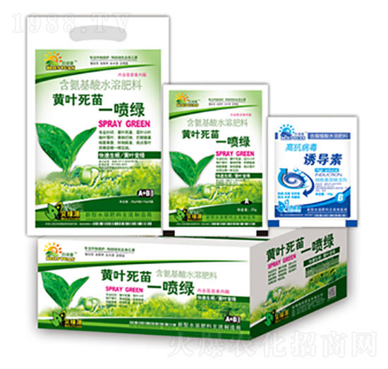 黃葉死苗一噴綠-潤澤肥業(yè)