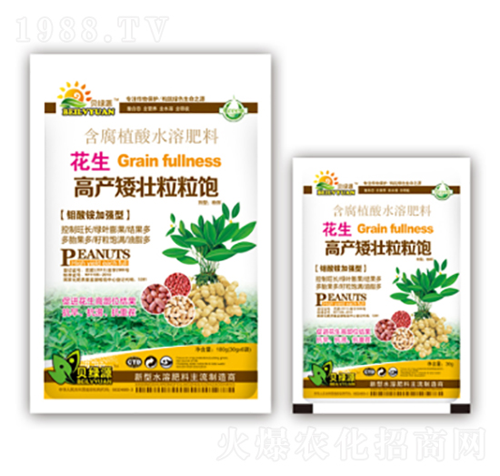 花生高產(chǎn)矮壯粒粒飽-潤(rùn)澤肥業(yè)