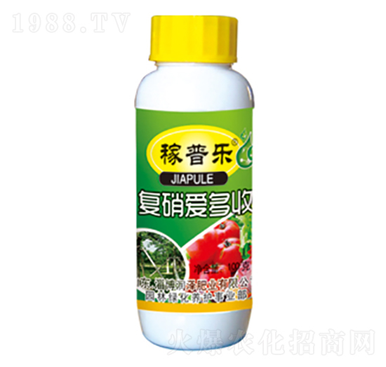 復硝愛多收-稼普樂-潤澤肥業(yè)