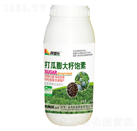 打瓜膨大籽飽素-稼普樂-潤澤肥業(yè)