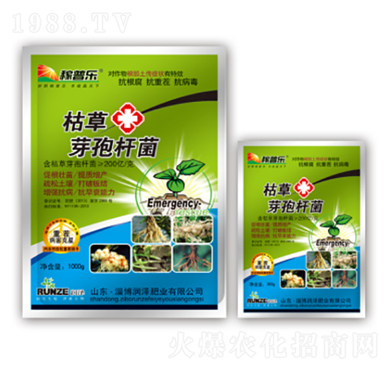 枯草芽孢桿菌-稼普樂(lè)-潤(rùn)澤肥業(yè)