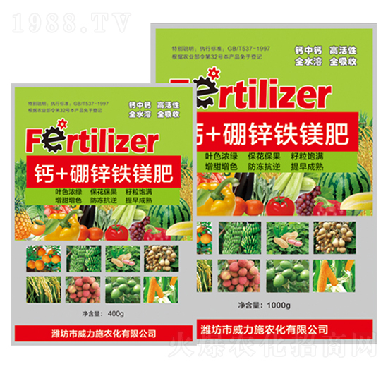 �}+���\�F�V�ʴ��b-����ʩ