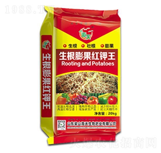 ��������t���-��������