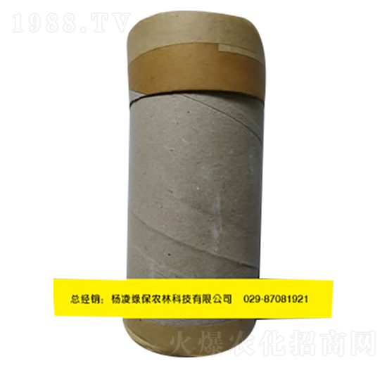 ����η����-�G��