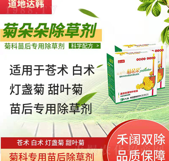 �տƳ��݄�-�տ����-�տƌ���-���n