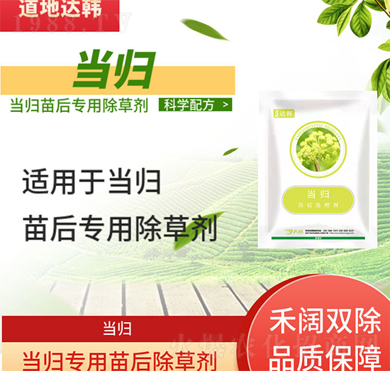 ��(d��ng)�w���݄�-��(d��ng)�w���-��(d��ng)�w����-���n