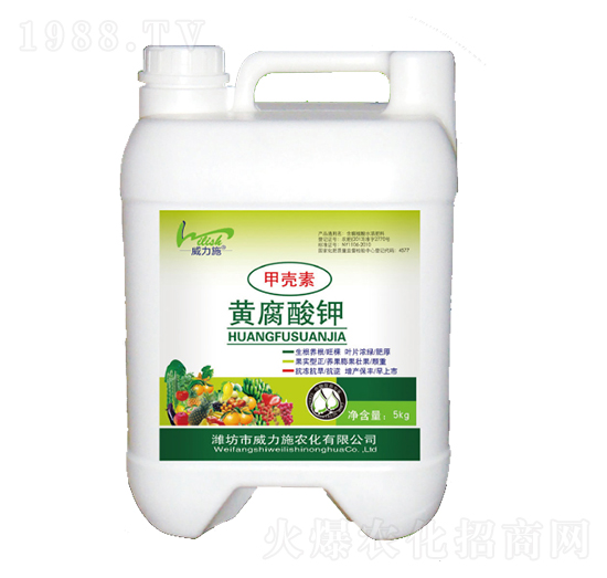 �ך����S�����-����ʩ