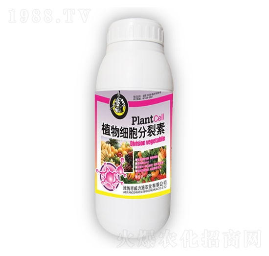 ֲ�：��������-����ʩ